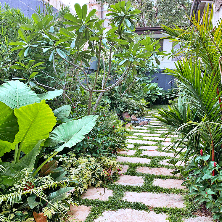 Jungle Paradise Garden in Quezon City